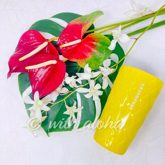 Starbucks HAWAII Mug BUNDLE - Picture 5 of 13